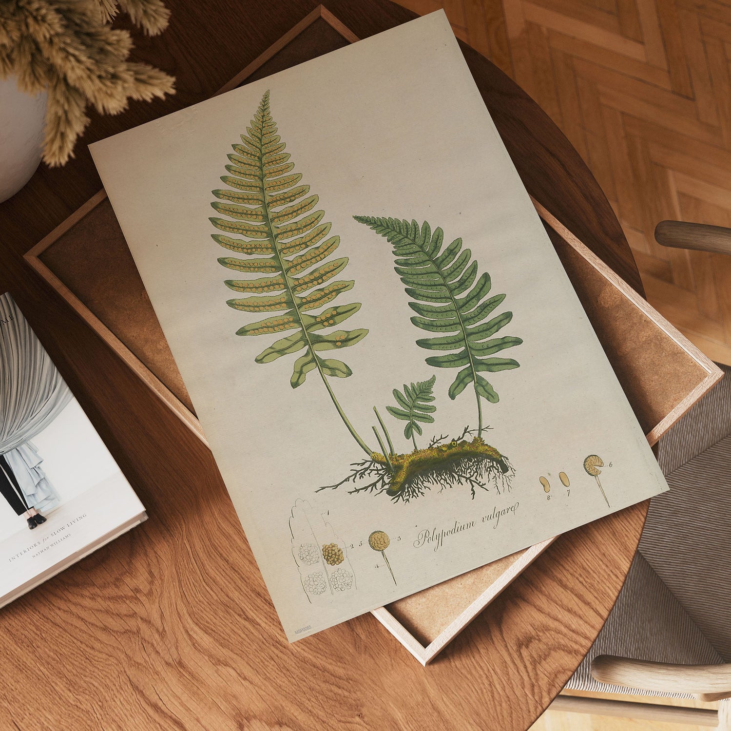 NATURAL HISTORY & BOTANICAL SMALL ART PRINTS (30X40cm)