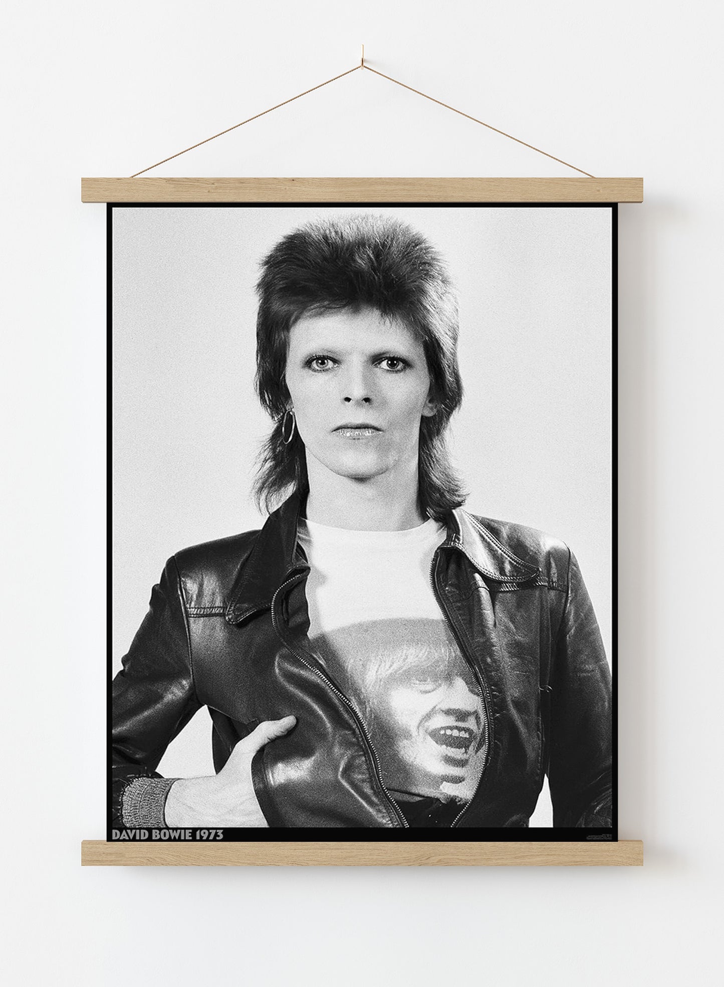 David Bowie 1973 (A1 59.5x84cm) Poster