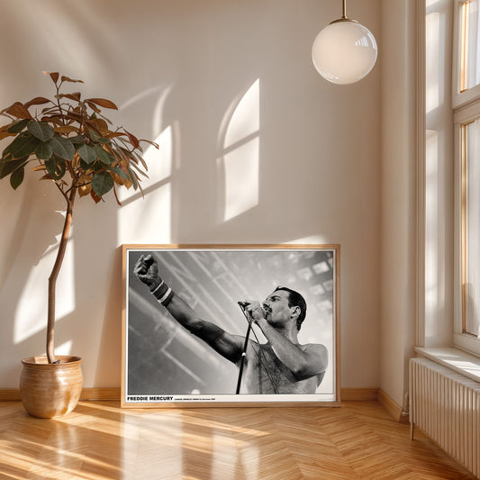 Freddie Mecury Live (A1 59.5x84cm) Poster