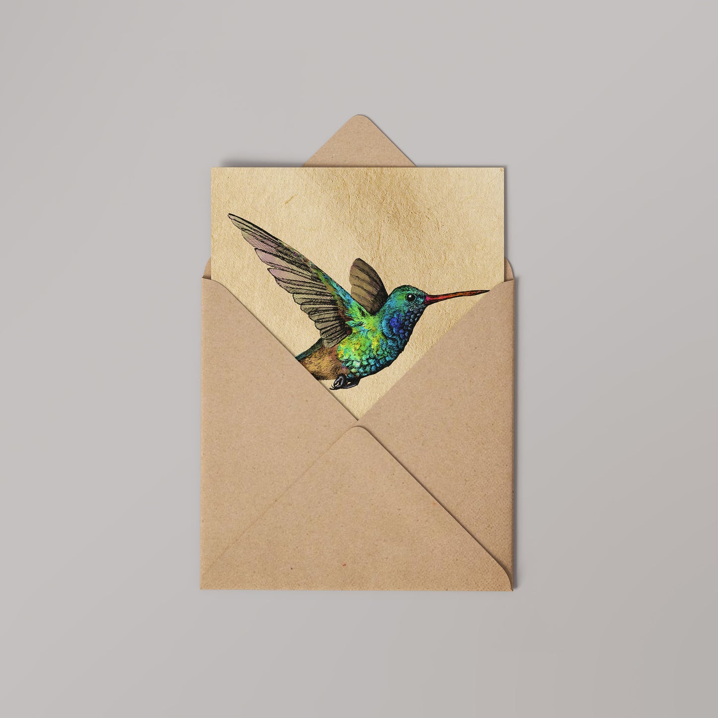 Broad-Billed Humming Bird Greetings Card 14x14cm (blank inside)