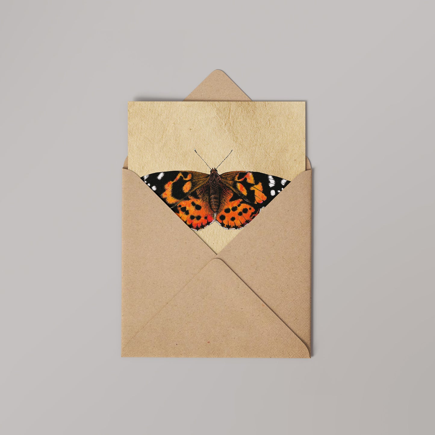 Painted Lady Greetings Card 14x14cm (blank inside)