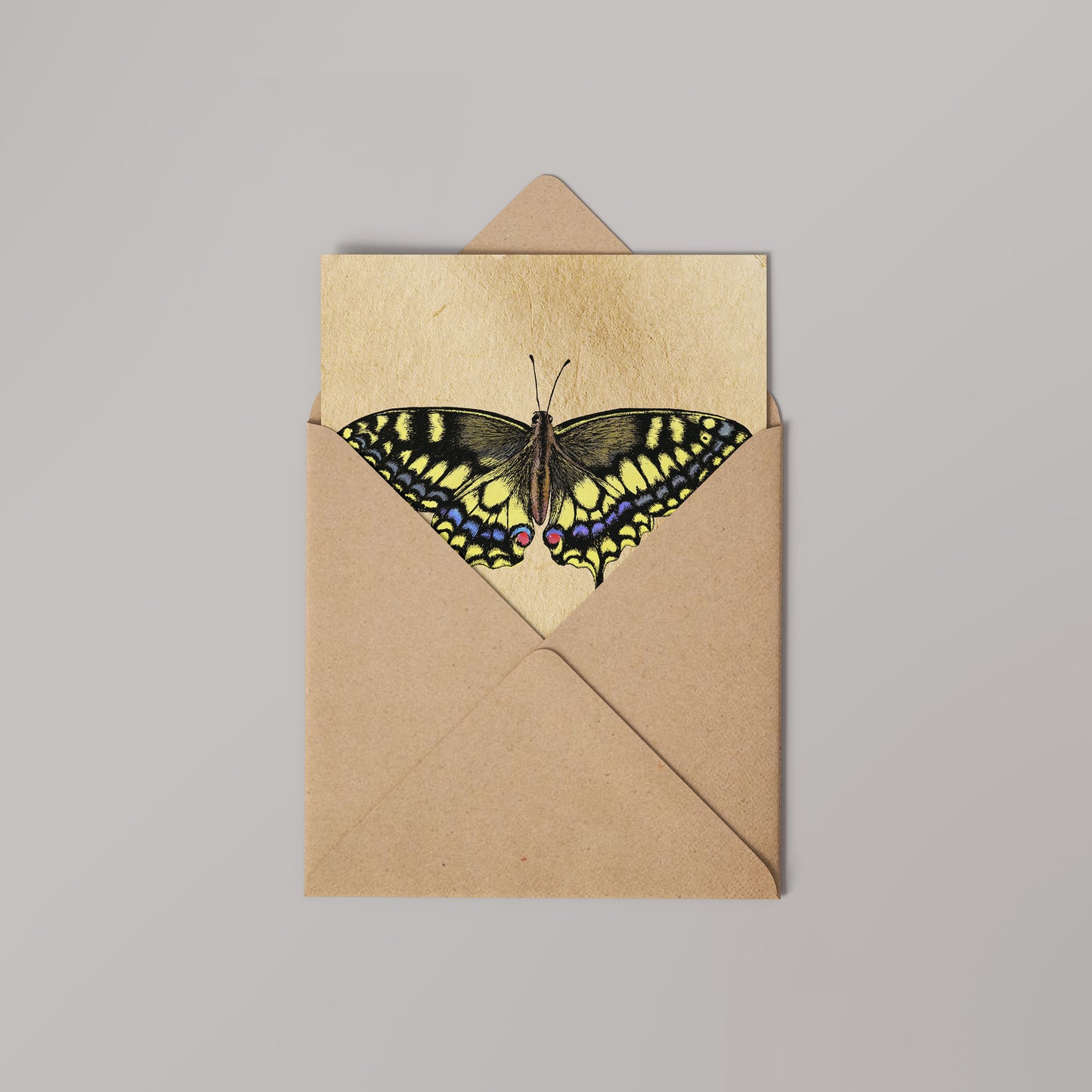Swallowtail Greetings Card 14x14cm (blank inside)
