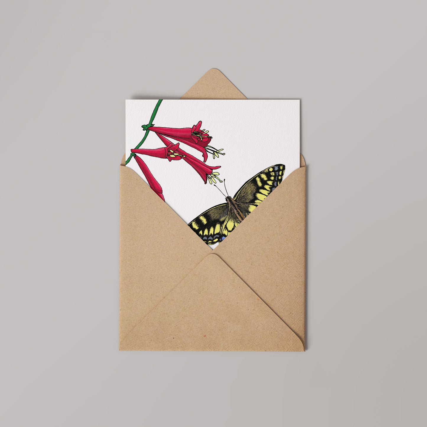 Swallowtail and Dropmore Scarlet Honeysuckle Greetings Card 14x14cm (blank inside)