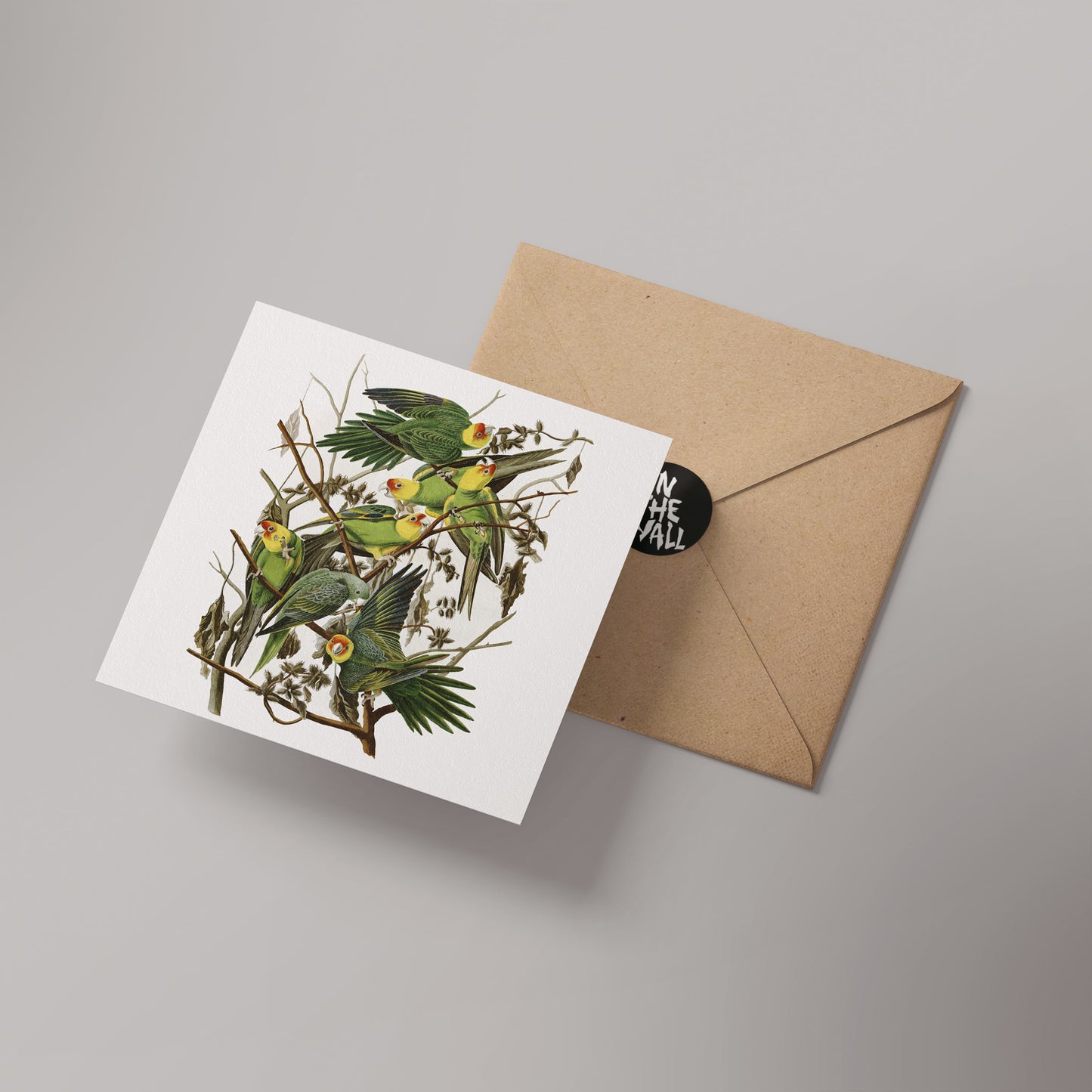 Parrot Natural History 14x14cm Greetings card (Blank Inside)