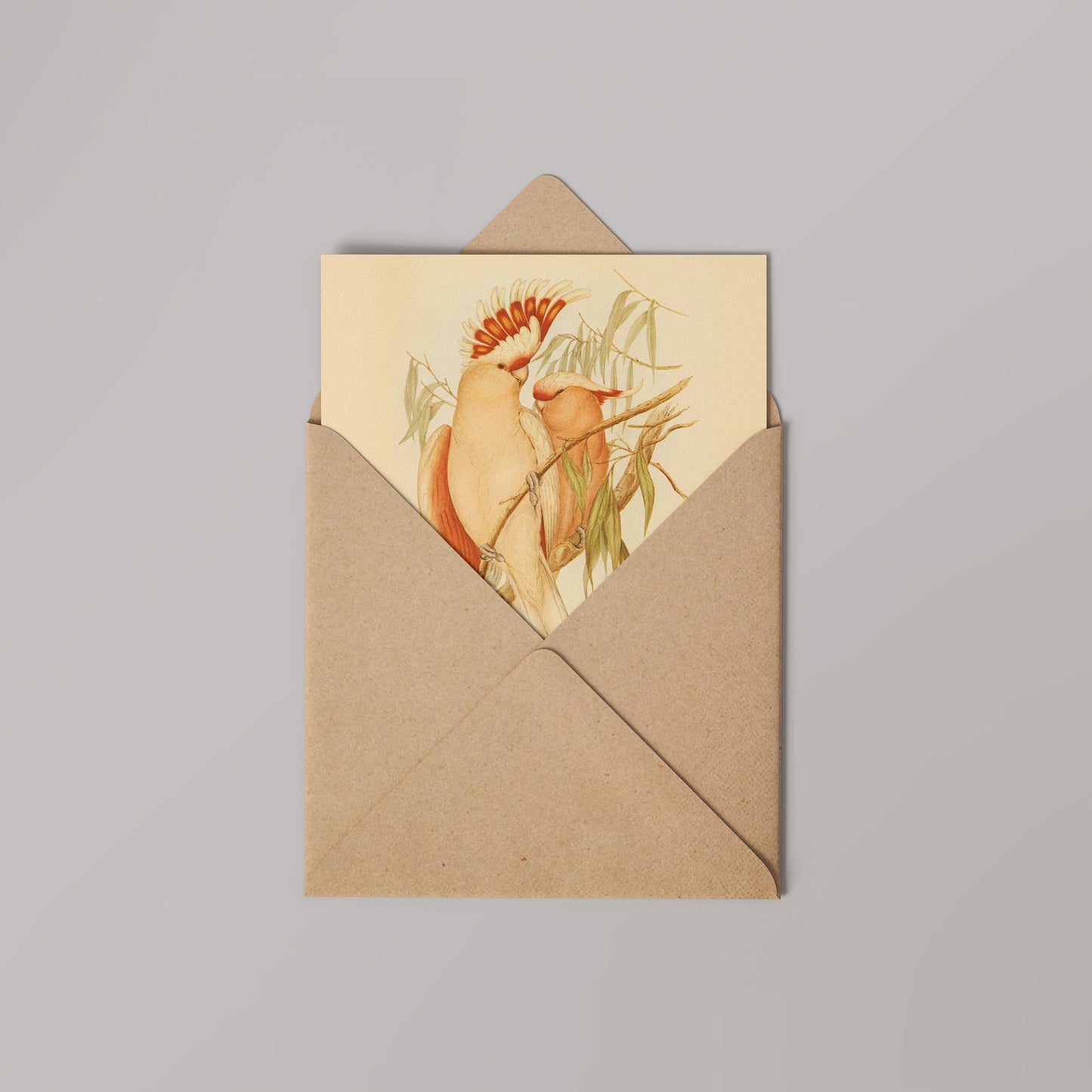 Cockatoos Natural History 14x14cm Greetings card (Blank Inside)