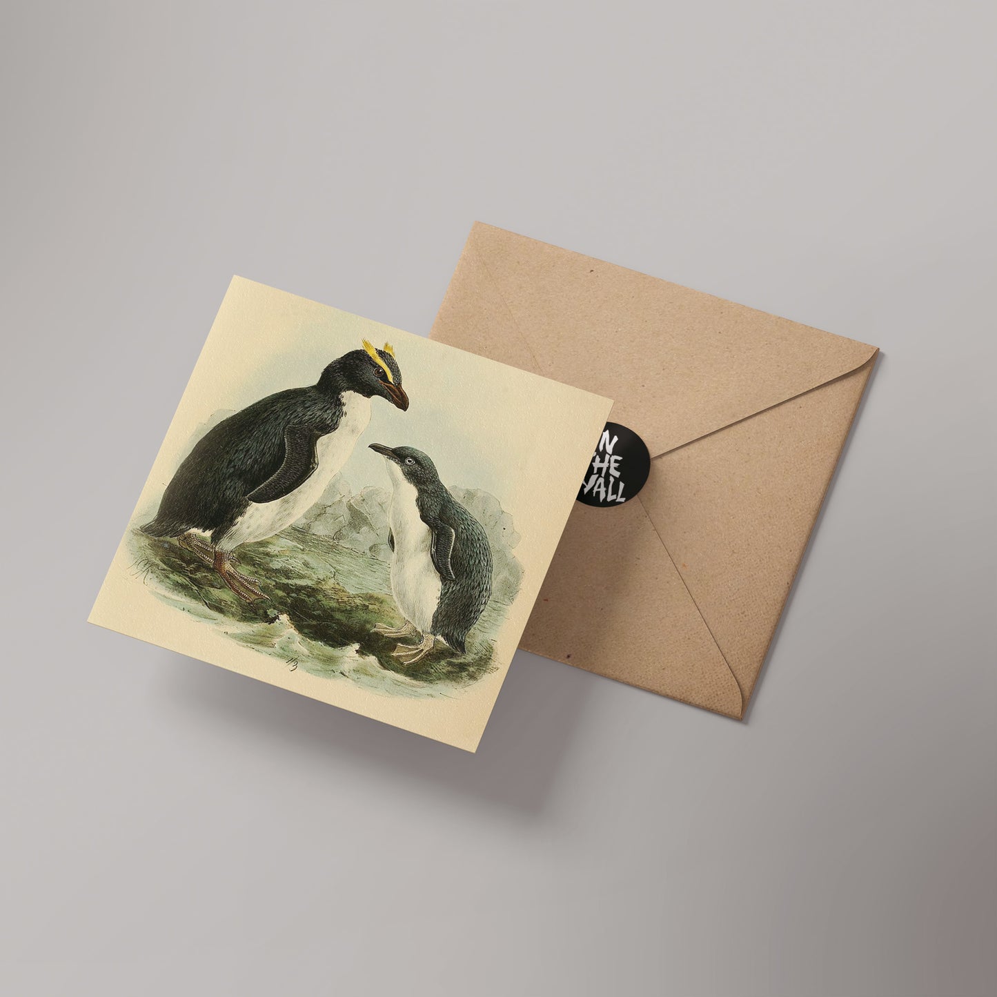 Penguins Natural History 14x14cm Greetings card (Blank Inside)
