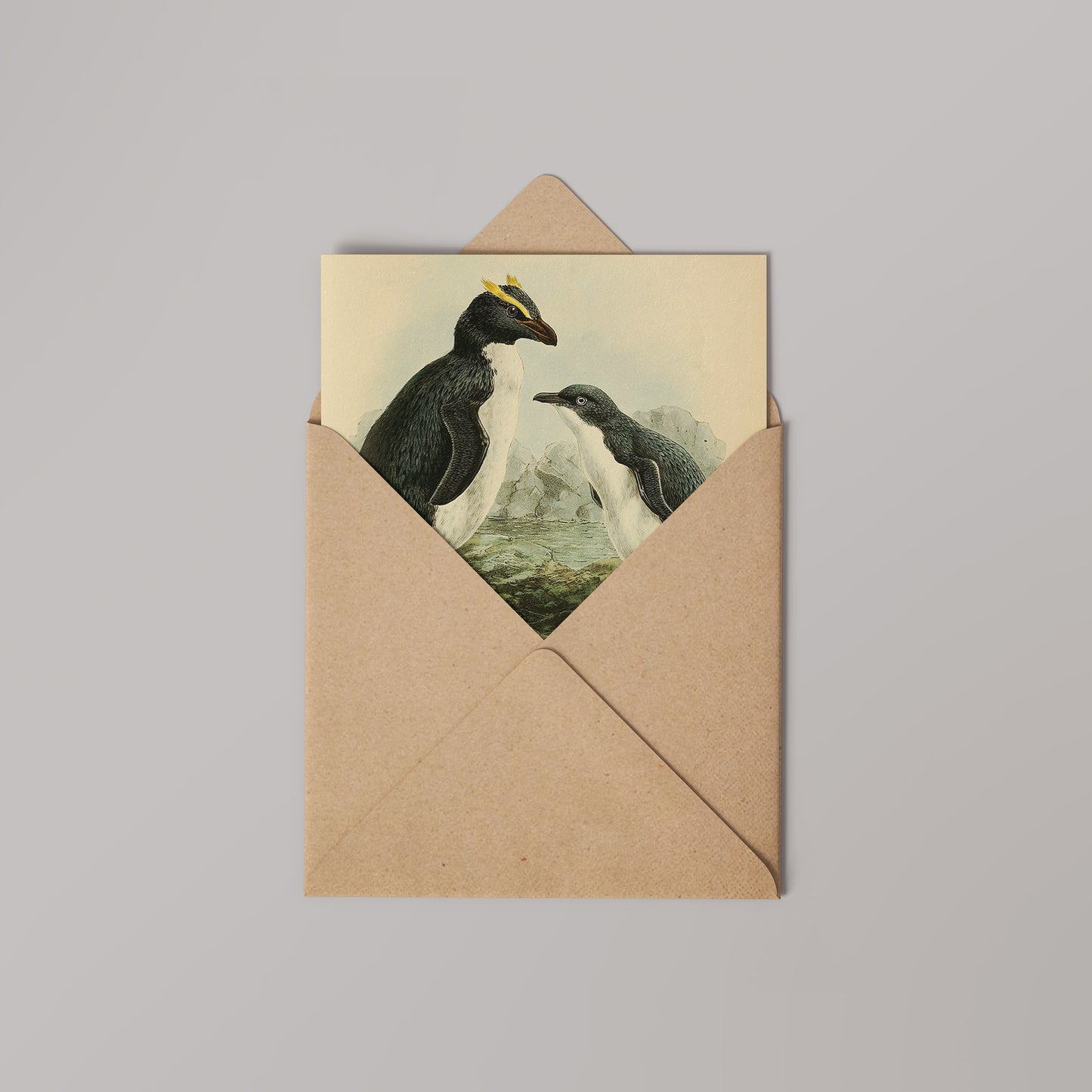 Penguins Natural History 14x14cm Greetings card (Blank Inside)