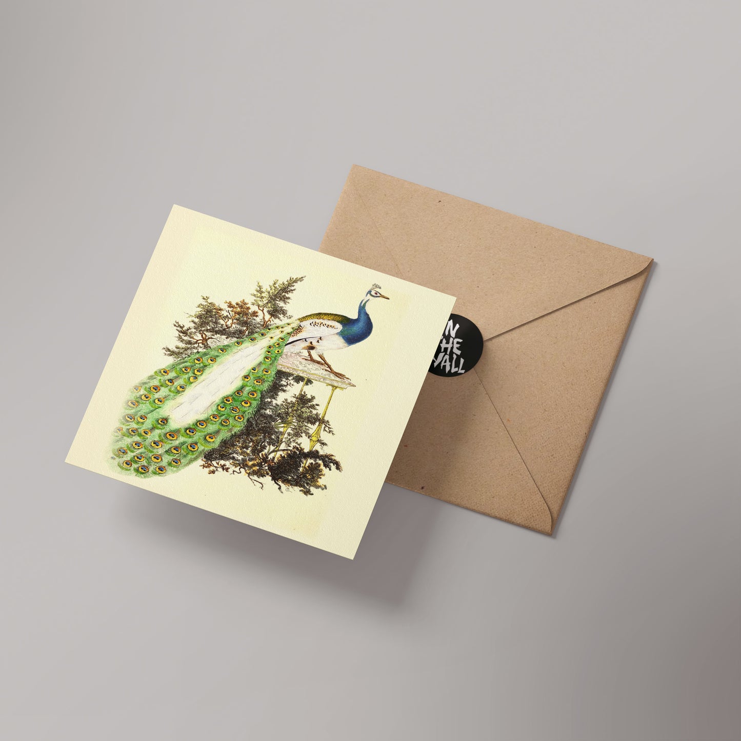 Peacock Natural History 14x14cm Greetings card (Blank Inside)