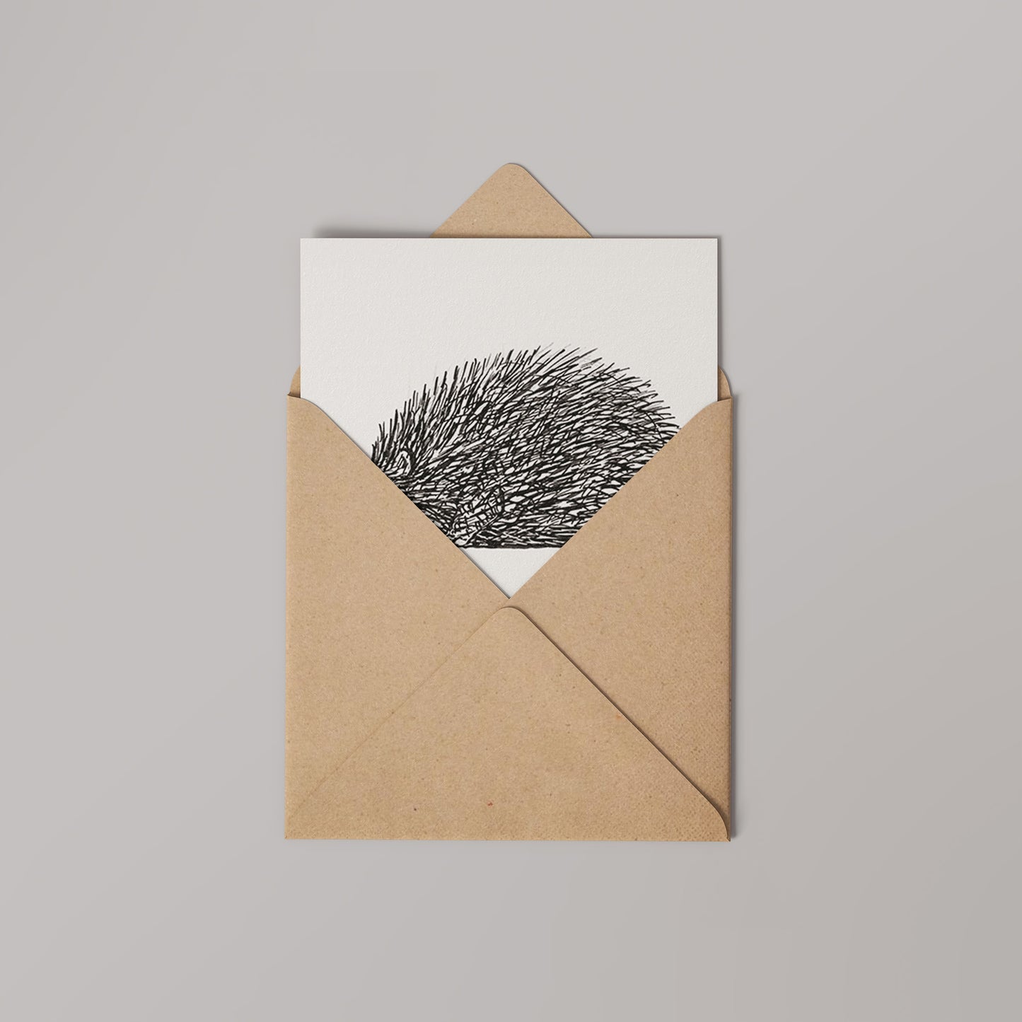 Illustrated Hedgehog Greetings Card