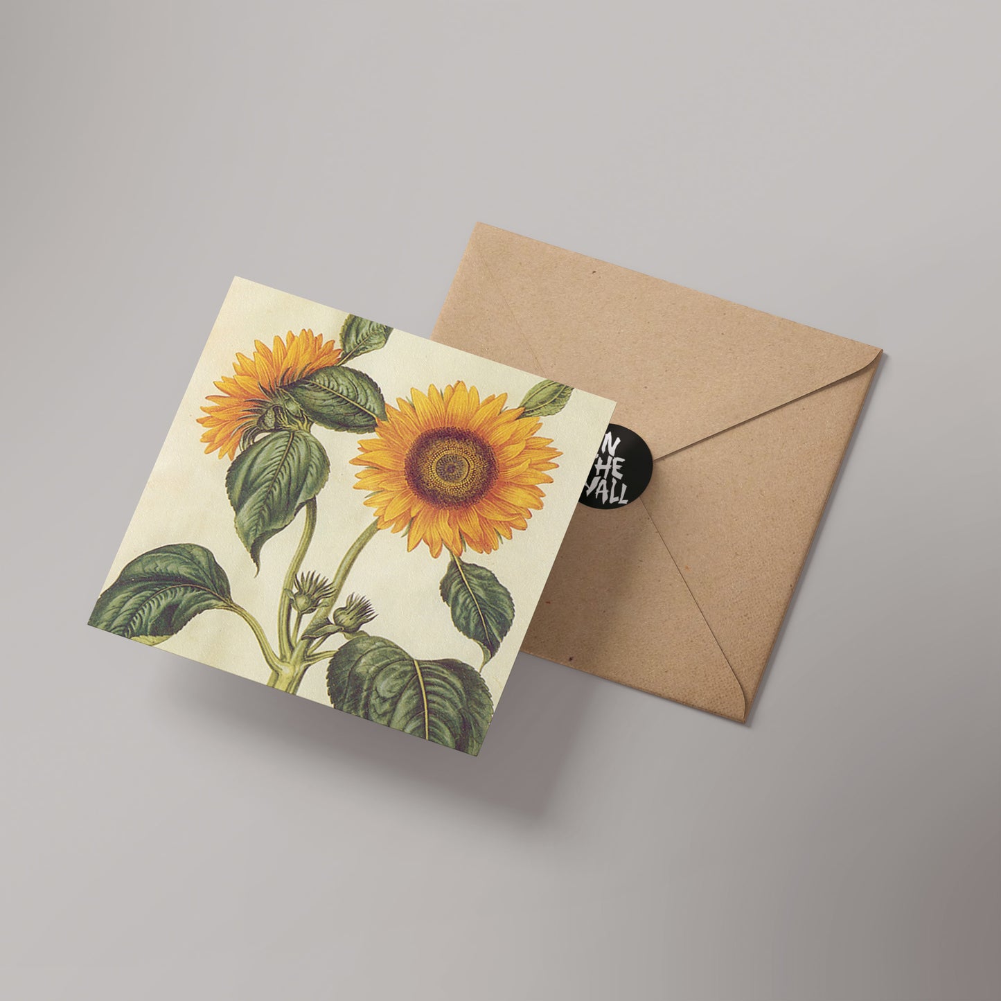 Sunflowers Natural History 14x14cm Greetings Card