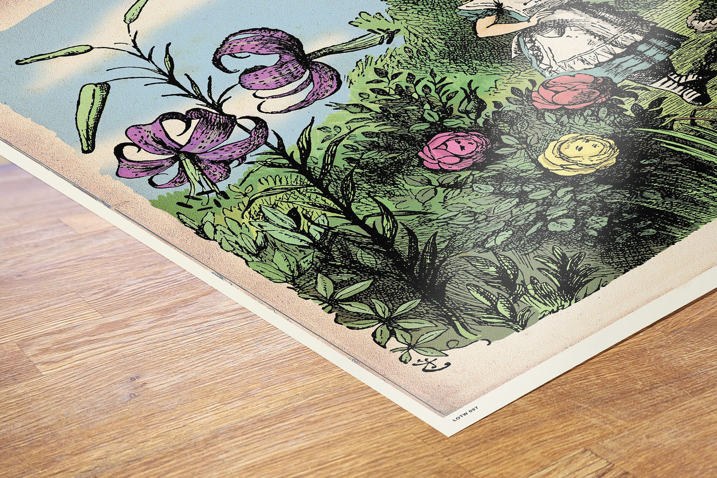 Alice In Wonderland, The Flower Garden, John Tenial Colour Illustration Art Print Poster 50x70cm
