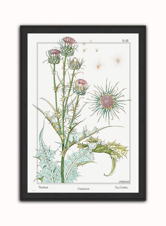 Botanical Print – Maurice Pillard Verneuil. Botanical Wall Art 50x70cm Black Frame