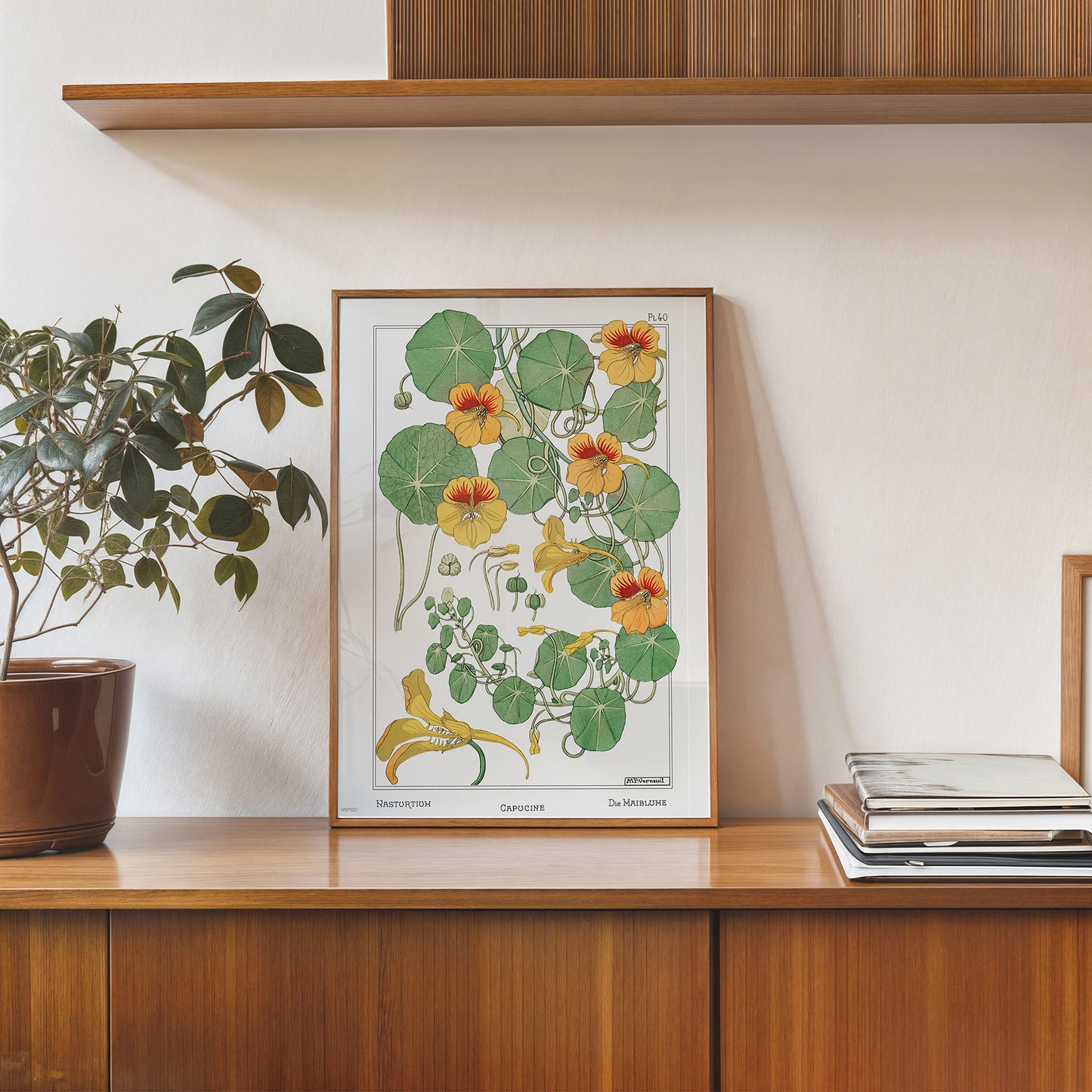 Botanical 30x40cm Art Print Capucine (nasturtium) from La Plante et ses Applications ornementales (1896) illustrated by Maurice Pillard Verneuil.
