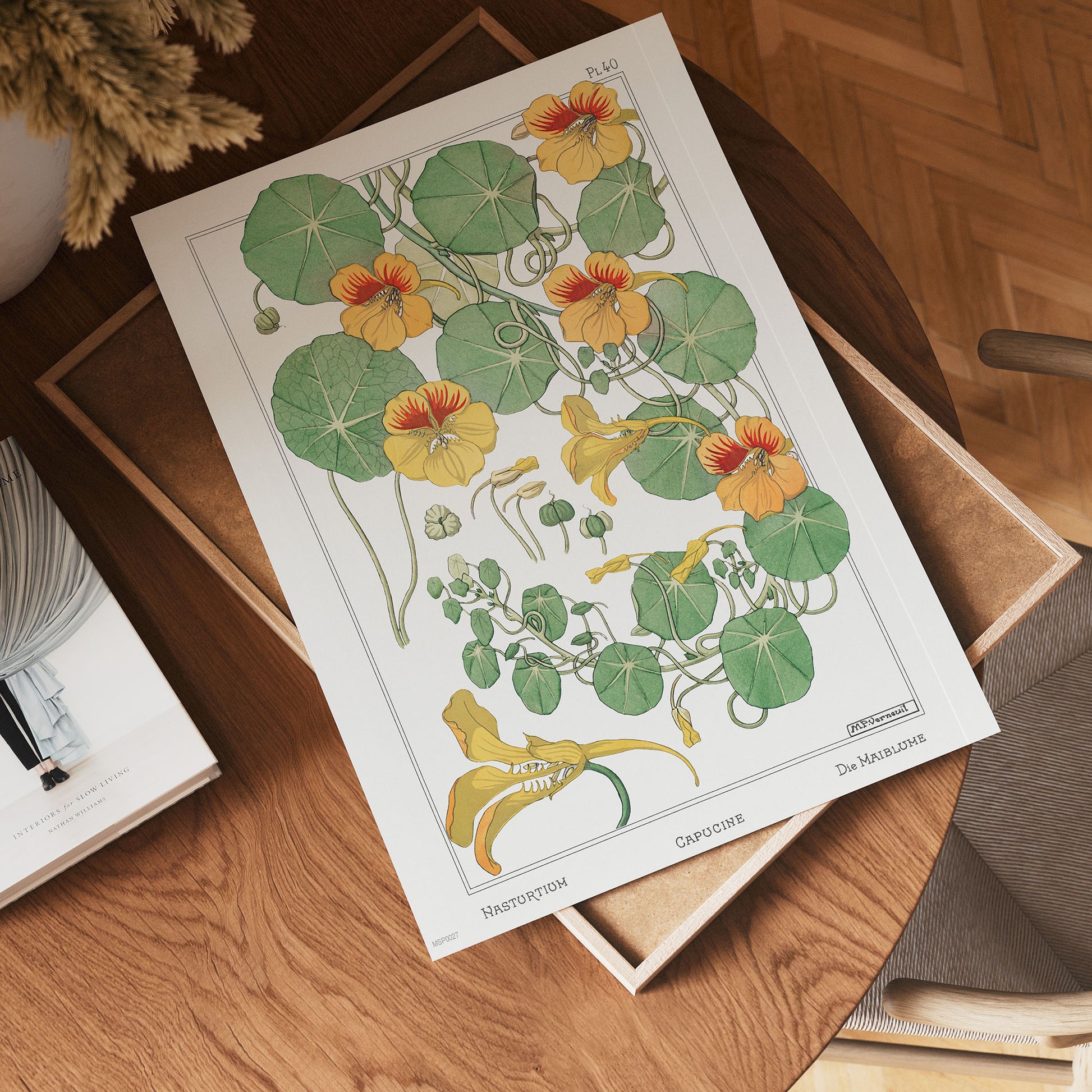 Botanical 30x40cm Art Print Capucine (nasturtium) from La Plante et ses Applications ornementales (1896) illustrated by Maurice Pillard Verneuil.