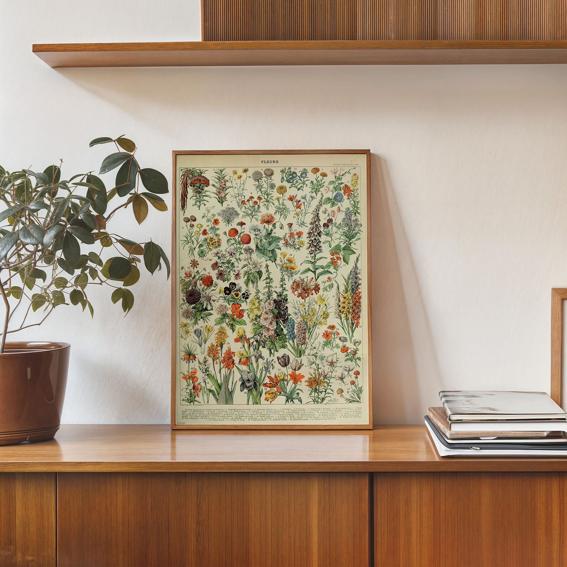 Flowers Natural History 30x40cm Art Poster Print