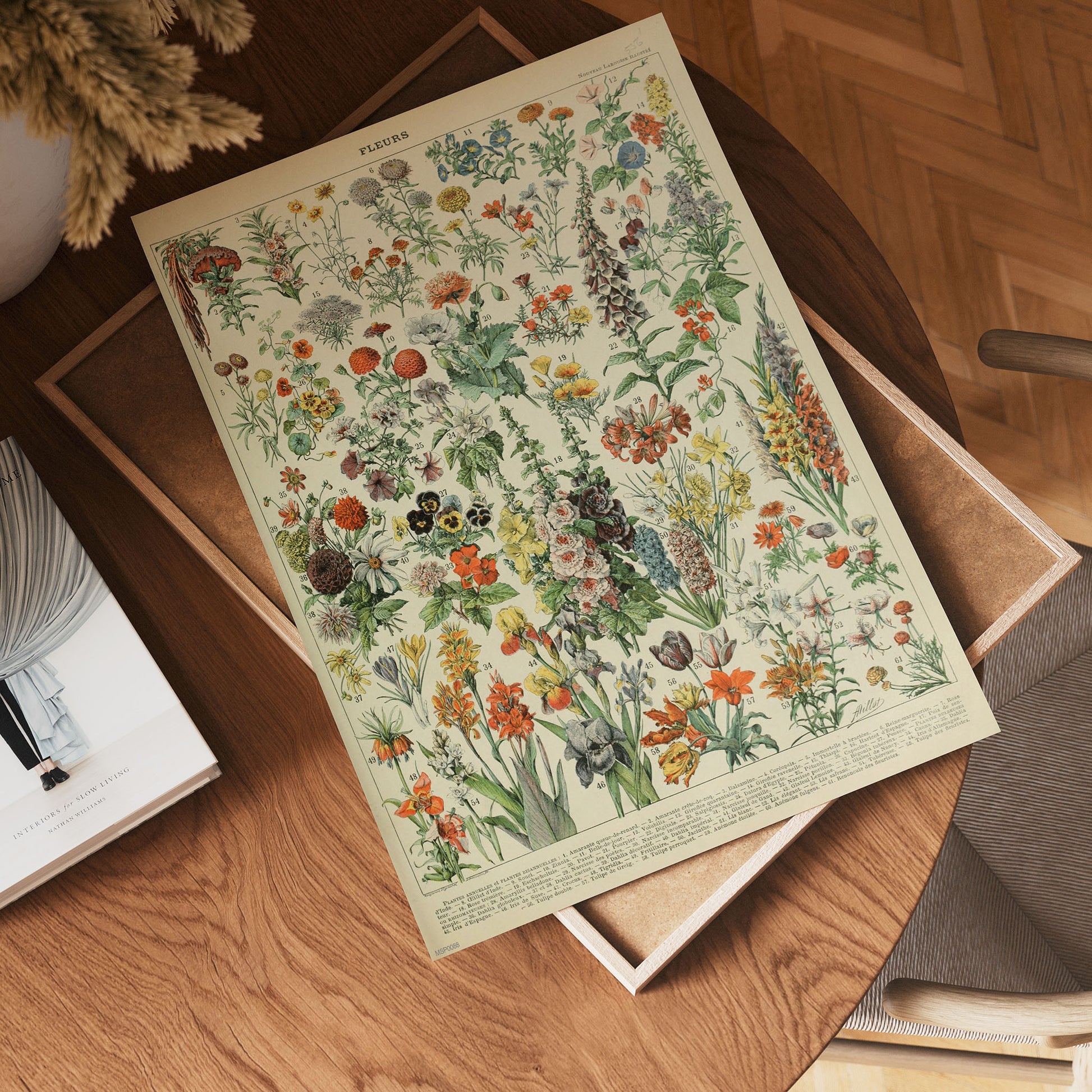 Flowers Natural History 30x40cm Art Poster Print