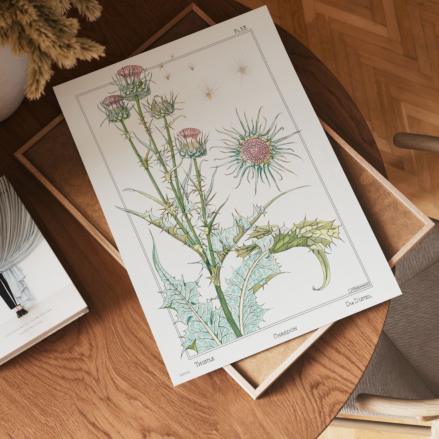 Botanical 30x40cm Art Print Chardon (thistle) from La Plante et ses Applications ornementales (1896) illustrated by Maurice Pillard Verneuil.