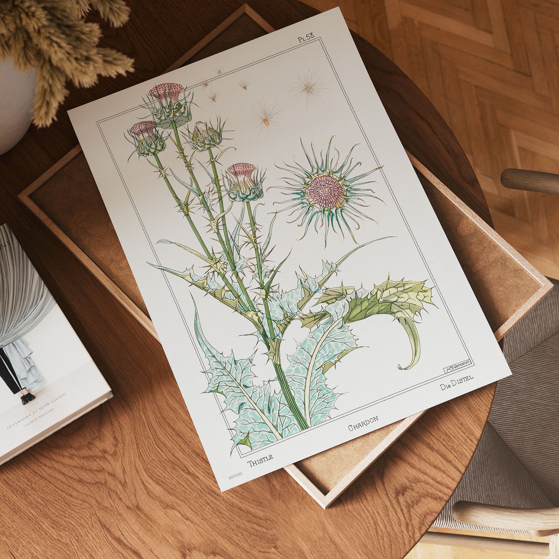 Botanical 30x40cm Art Print Chardon (thistle) from La Plante et ses Applications ornementales (1896) illustrated by Maurice Pillard Verneuil.