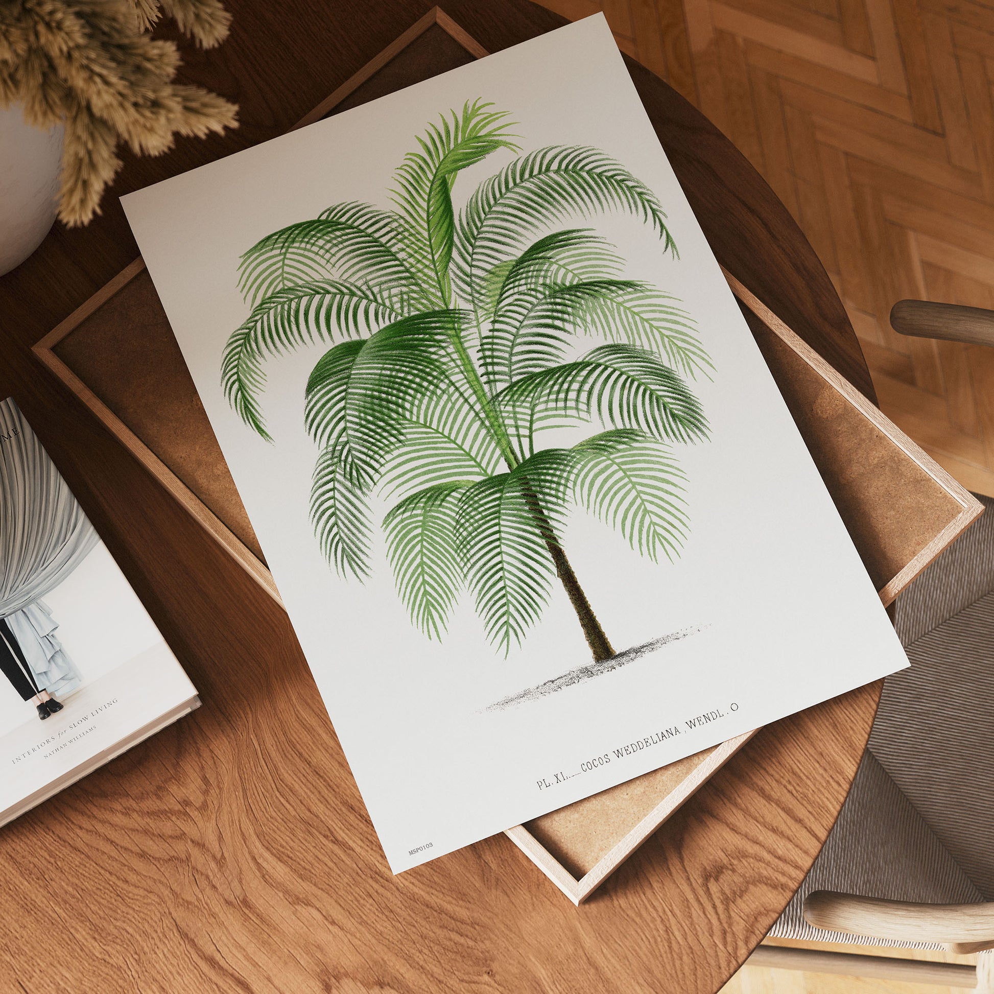 Vintage palm tree illustration Les Palmiers Histoire Iconographique Acanthor Aculeata (1878), illustrated by Oswald de Kerchove de Denterghem 30x40cm Art Print