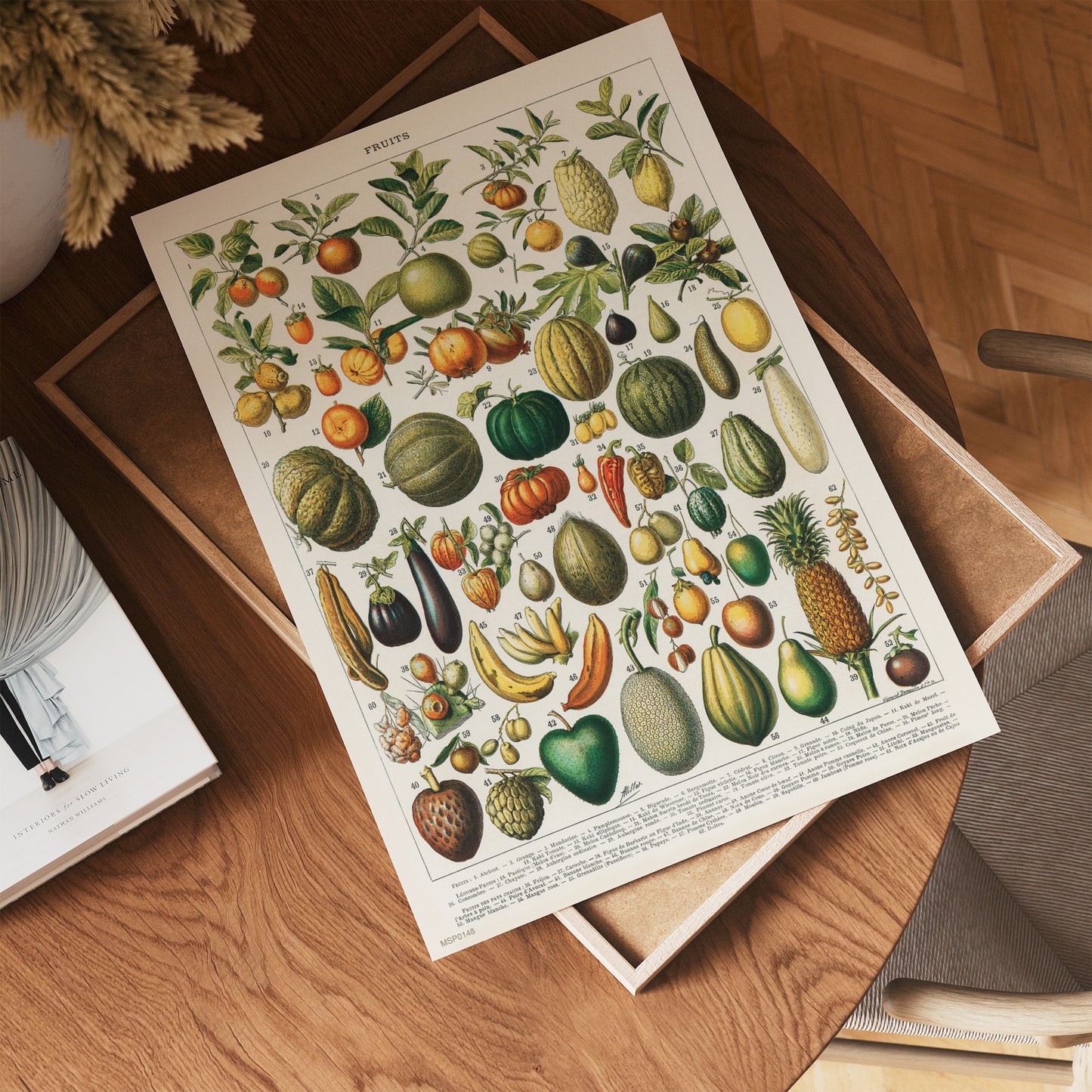 Illustration of Fruit is a drawing by Adolphe Philippe Millot 30x40cm Art print