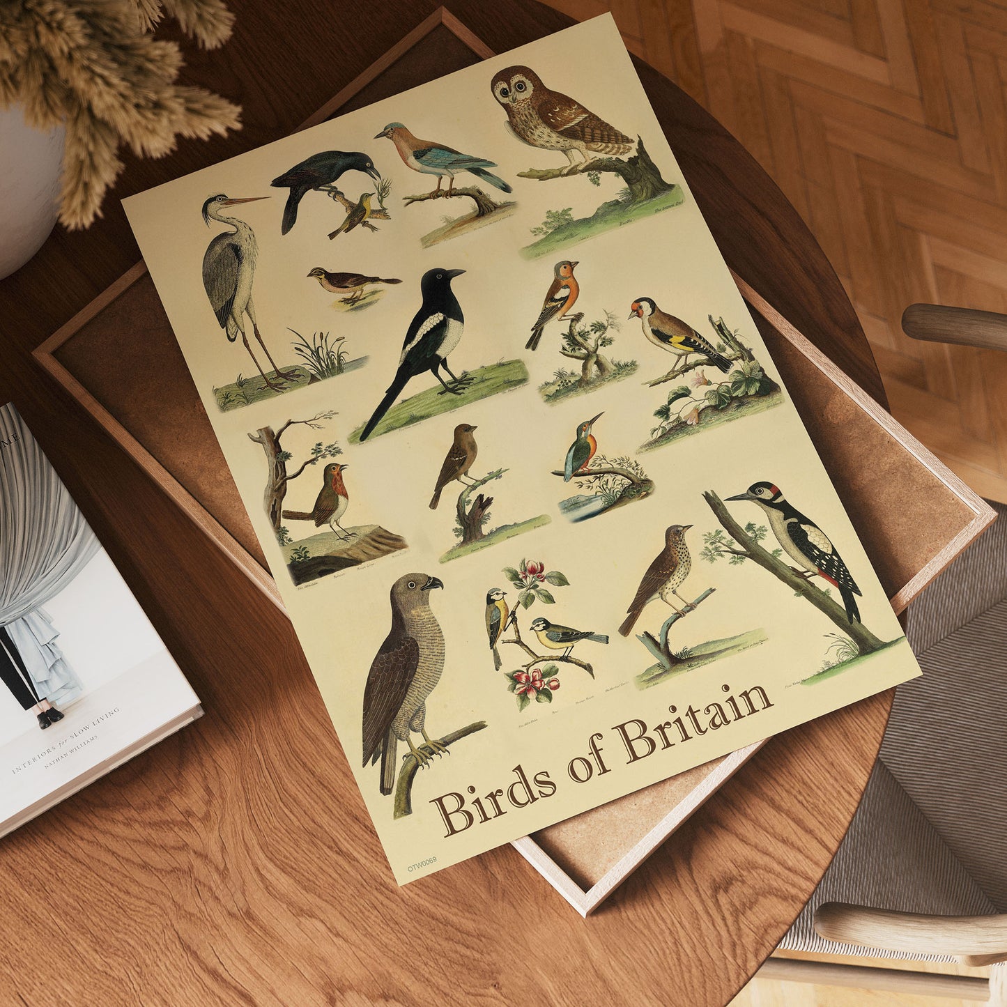 Birds of Britain Natural History 30x40cm Art Poster Print