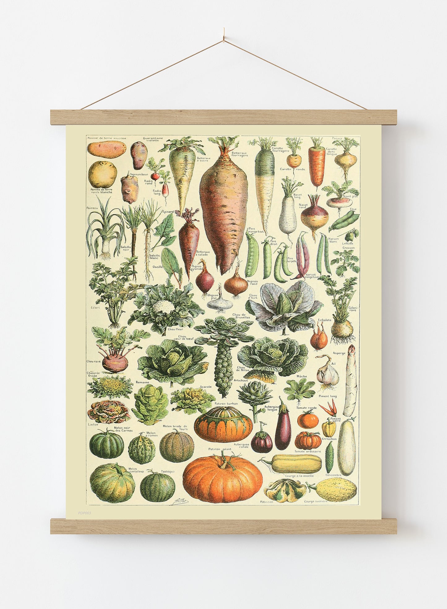 Vegtables Poster Art Print Vintage Poster Wall Art Print 30x40cm Hanger