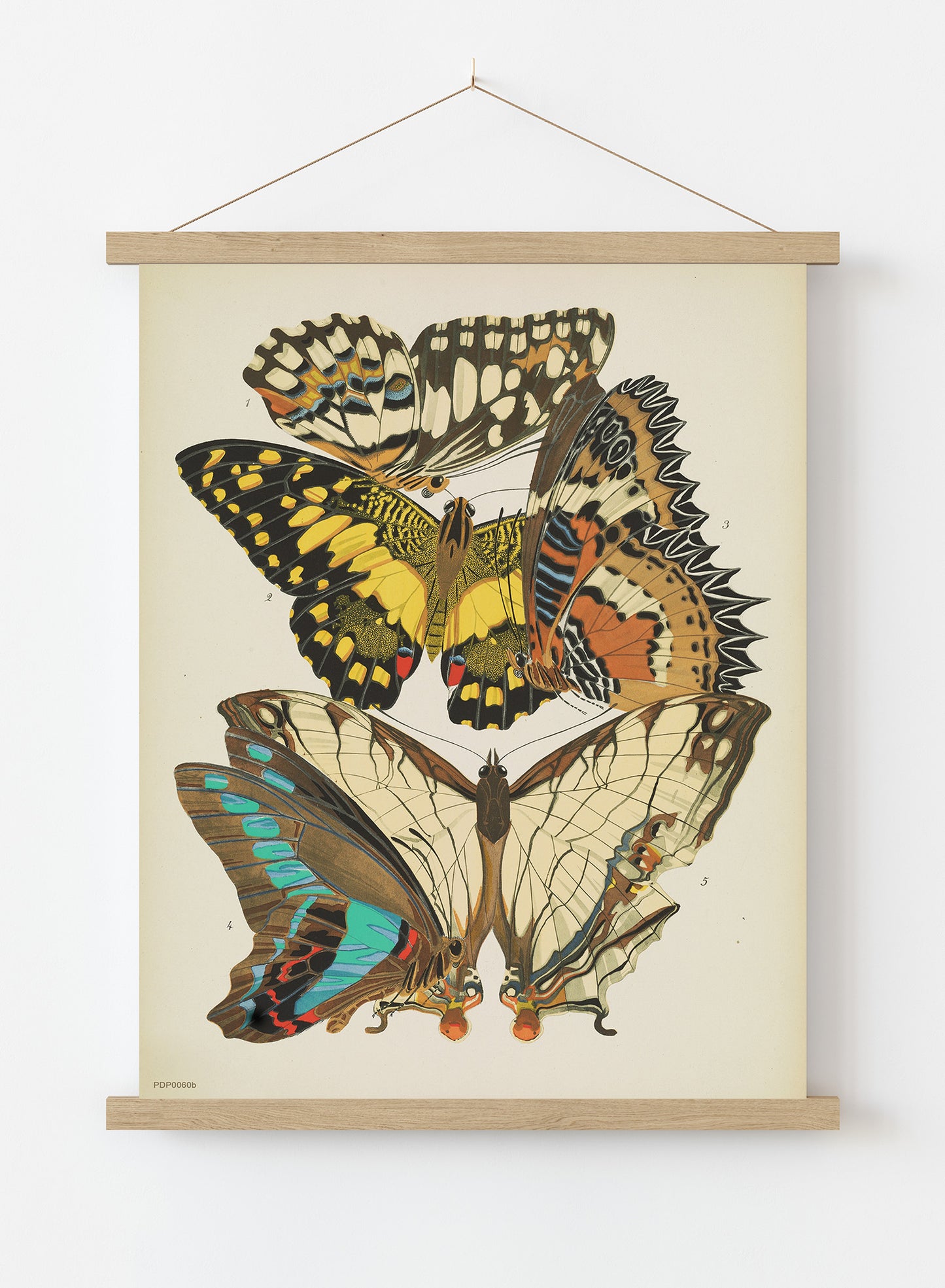 Plate 9, from Papillons, pub. 1925 by Émile-Allain Séguy Vintage Art Wall Art Print 30x40cm Hanger