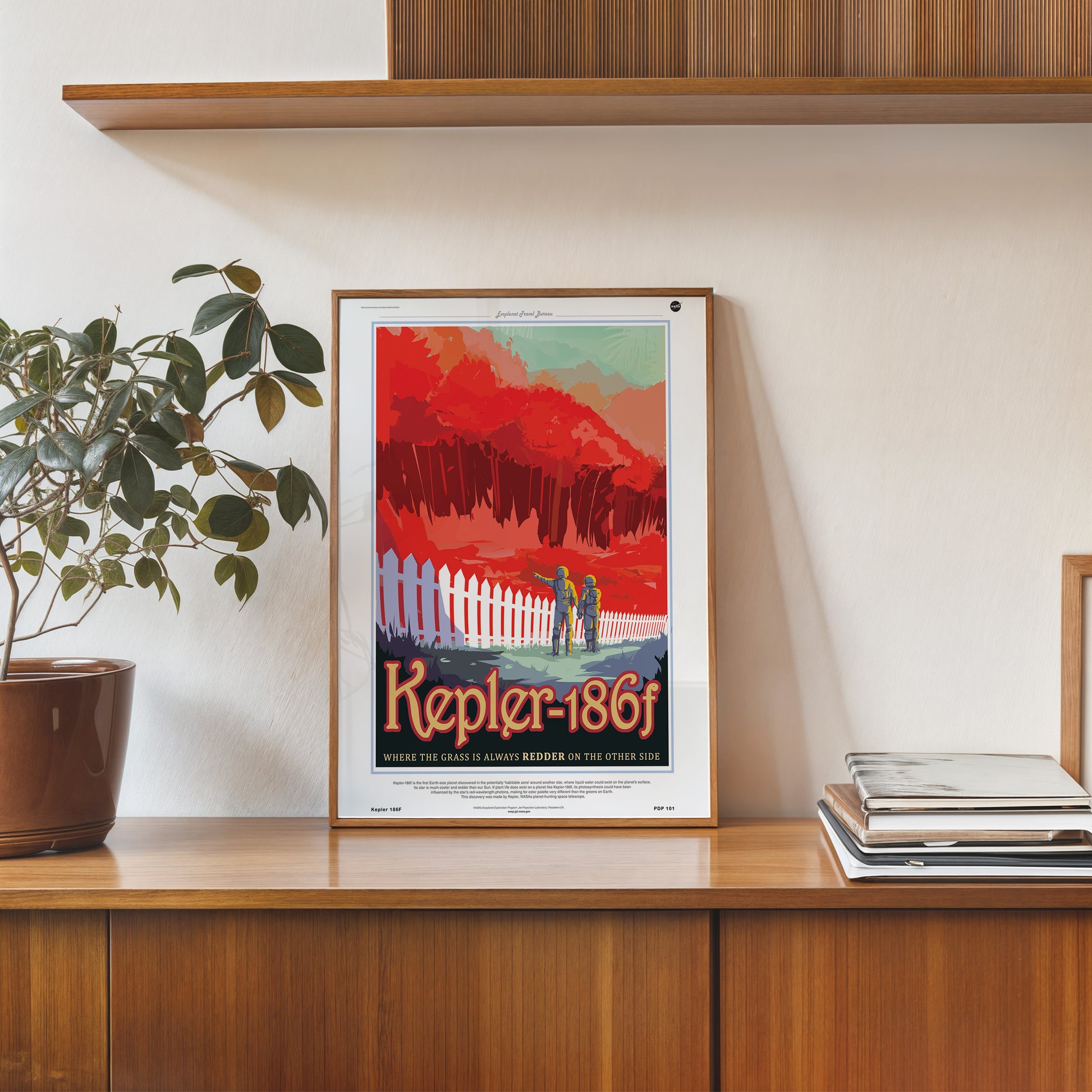 Kepler 186F Nasa Space exploration 30x40cm Art Poster Print