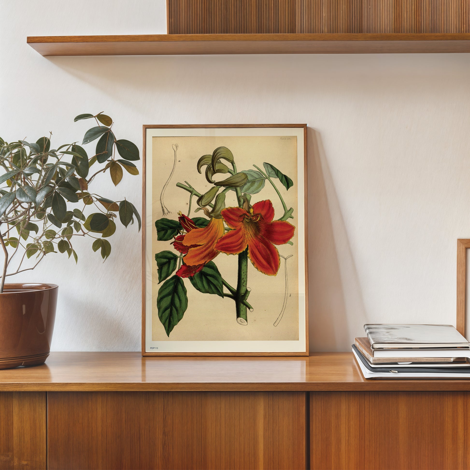 Look botanical book mark Natural History 30x40cm Art Poster Print