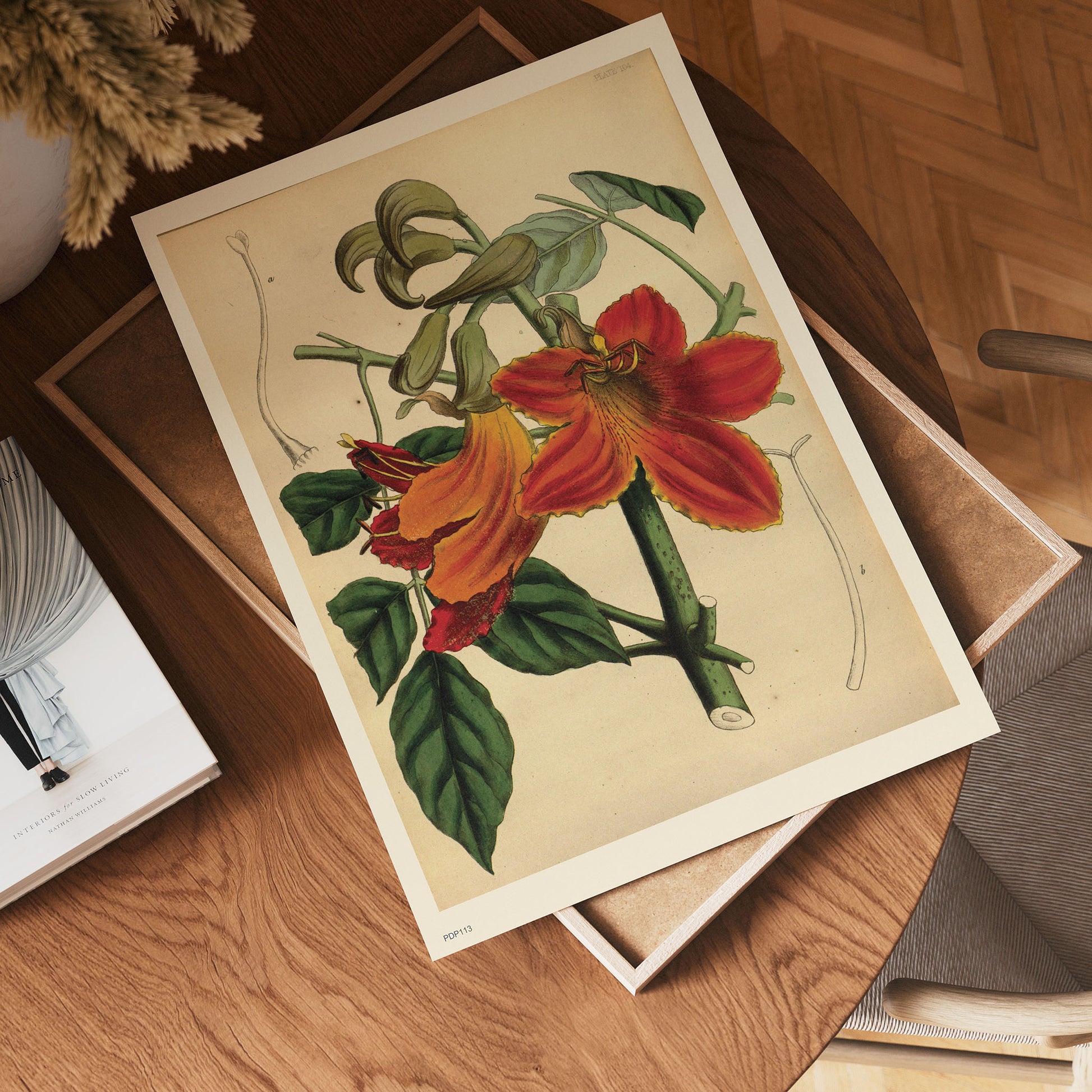 Look botanical book mark Natural History 30x40cm Art Poster Print