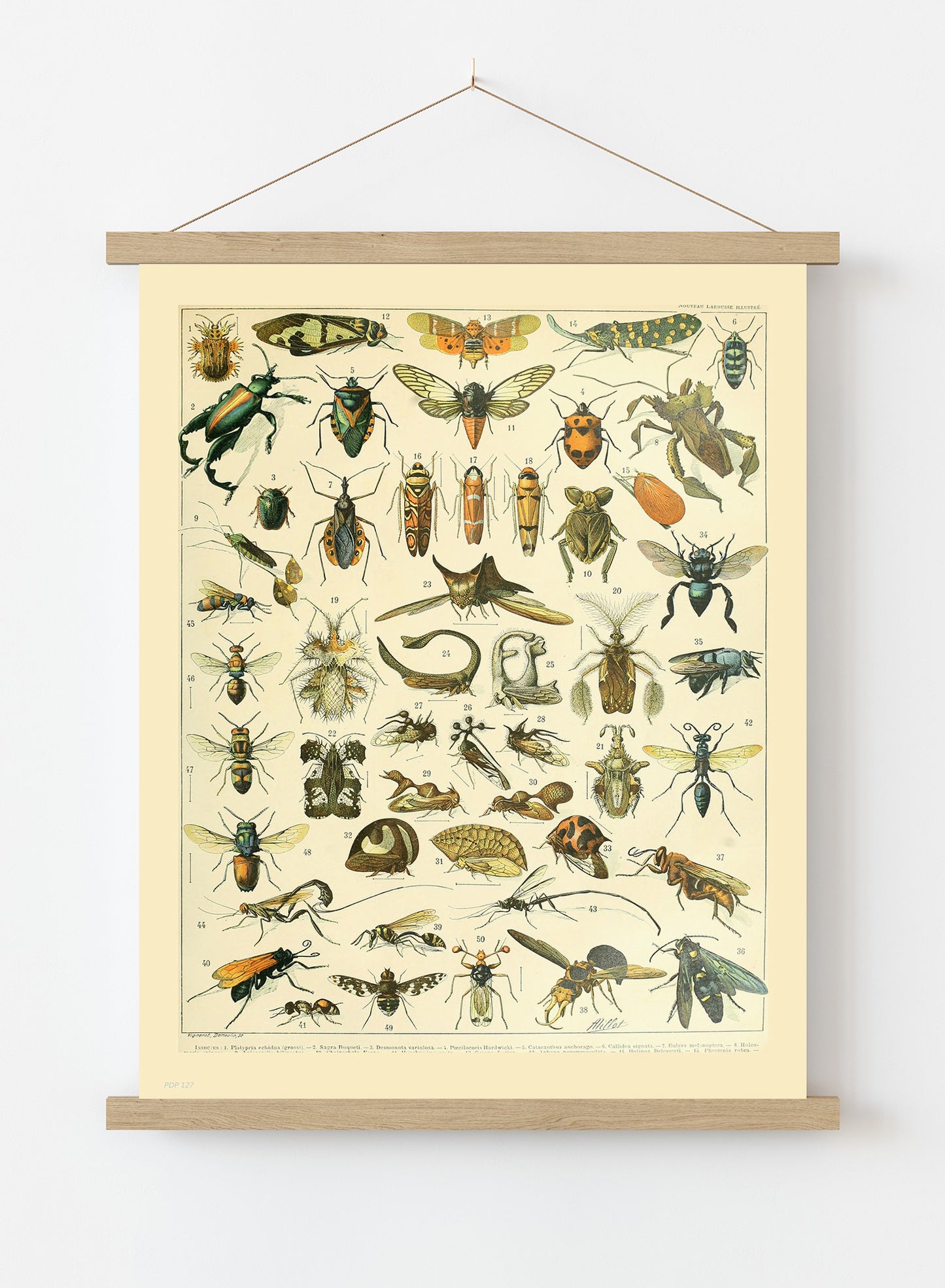 Bugs Poster Art Print Vintage Poster Wall Art Print 30x40cm Hanger