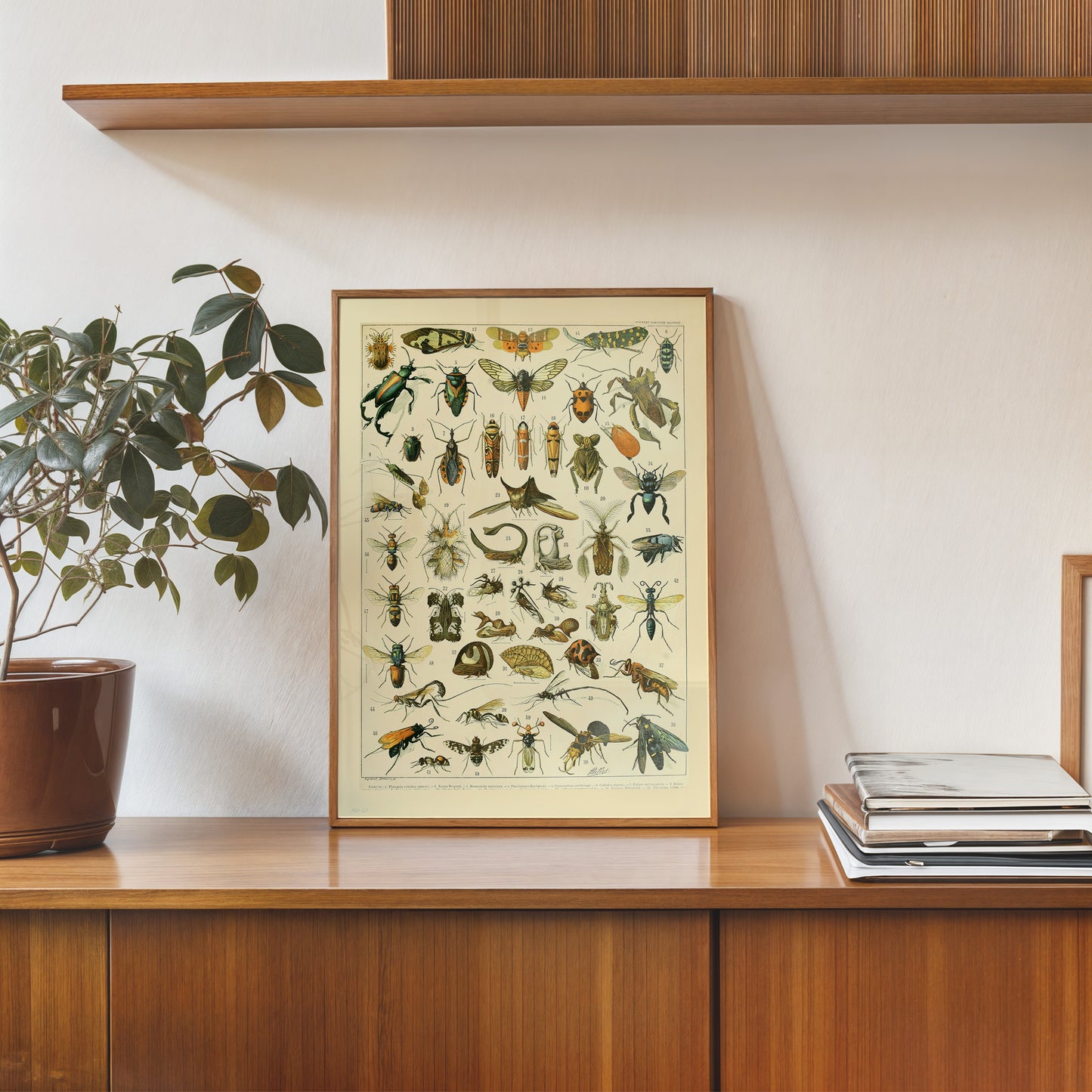 Bugs Poster Art Print 30x40cm