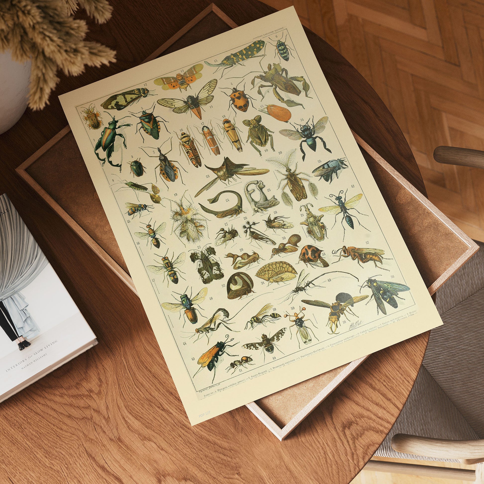 Bugs Poster Art Print 30x40cm
