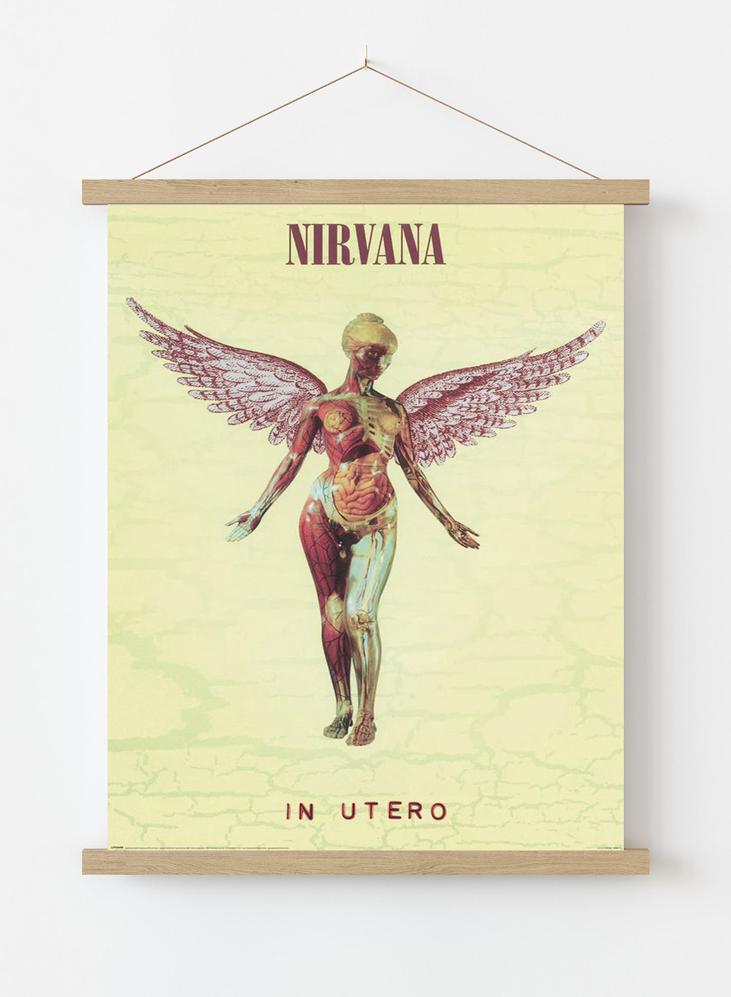NIRVANA (IN UTERO) Poster 61x91.5cm