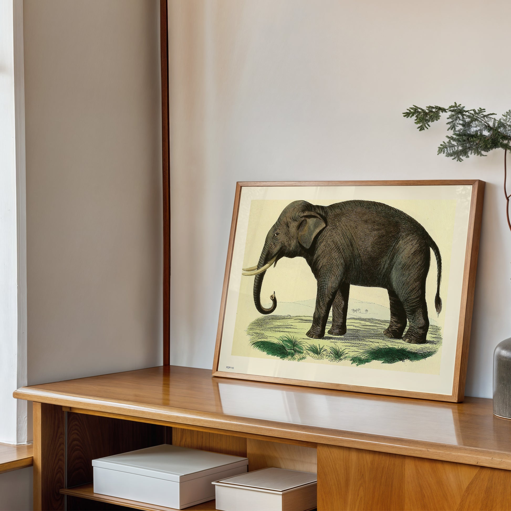 Elephant Natural History 30x40cm Art Poster Print