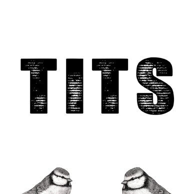 Tits Greetings card (Blank Inside) - On the Wall Art Print Posters & Gifts