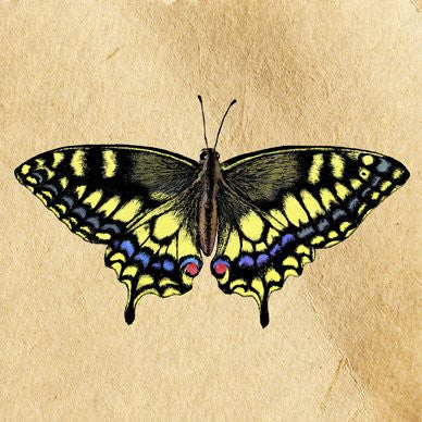 Swallowtail Greetings Card 14x14cm (blank inside)
