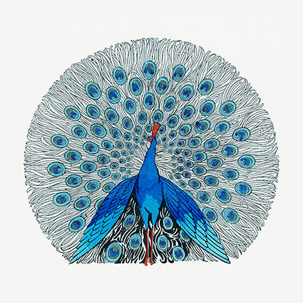 Blue Peacock 14x14cm Greetings Card