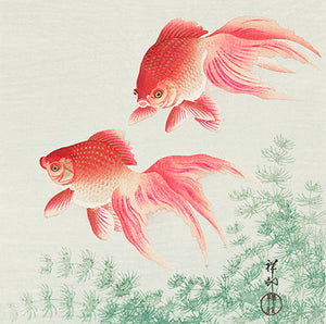 Goldfishes by Ohara Koson 14x14cm Greetings Card 