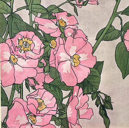 Prairie Rose (1915) by Hannah Borger Overbeck Botanical 14x14cm Greetings Card