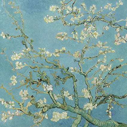 Almond Blossom by Van Gogh 14x14cm Greetings Card