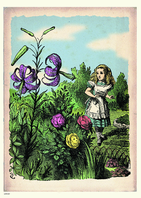 Alice In Wonderland, The Flower Garden, John Tenial Colour Illustration Art Print Poster 50x70cm