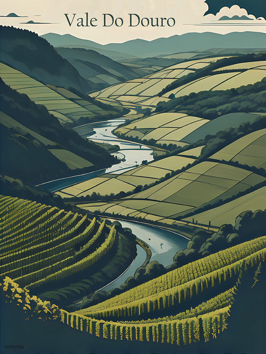 Visit Douro Valley Wine Region travel Poster Art Print 30x40cm