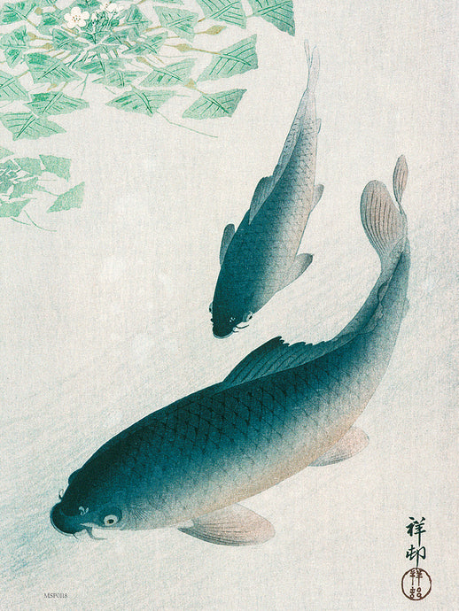 Koi Carp by Ohara Koson 1926 Japenese Poster Art Print 30x40cm