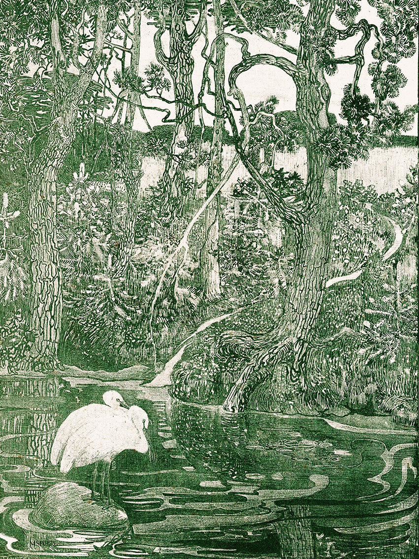 Two Herons By Theo Van Hoytema Vinatge Poster Art Print 30x40cm