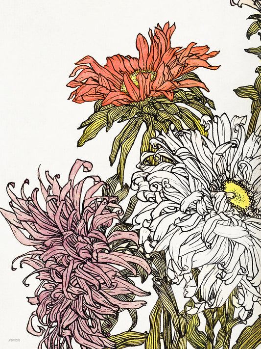 Botanical Art Print 30x40cm Chrysanthemums by Julie de Graag
