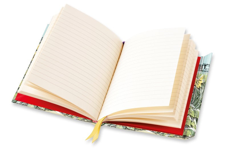 Angela Harding: Look Out! (Foiled Journal) Lined A5 Notepad
