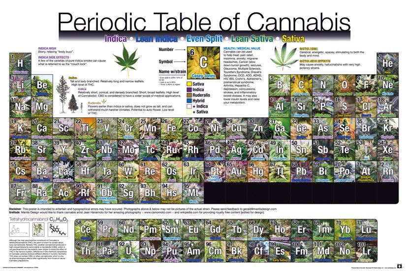 Periodic Table Regular Poster (61x91.5cm)