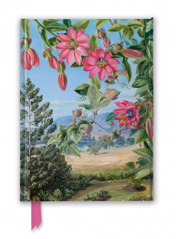 Kew Gardens' Marianne North: View in the Brisbane Botanic Garden Foiled Lined A5 Notepad