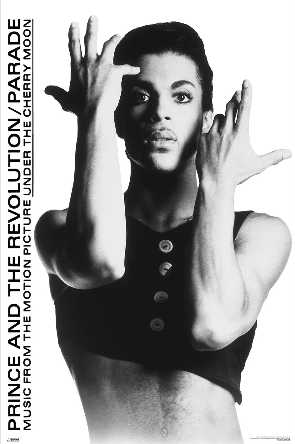 Prince Poster 61x91.5cm